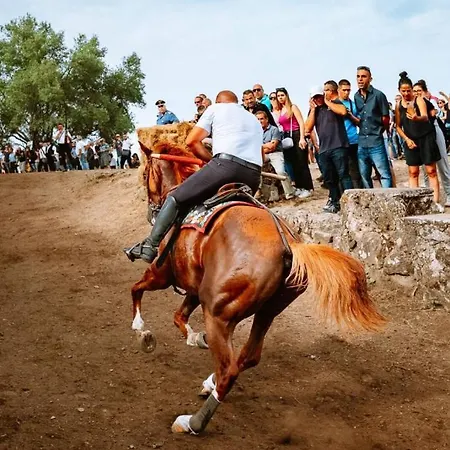 Al Piano Di Sopra Gasthuis Abbasanta
