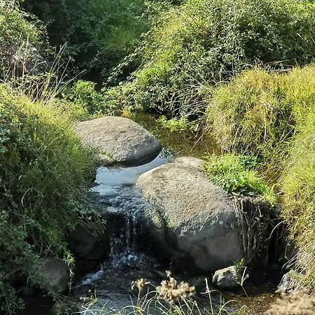 Al Piano Di Sopra Gasthuis Abbasanta