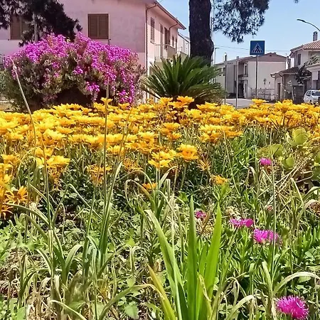 Al Piano Di Sopra 게스트하우스 아바산타